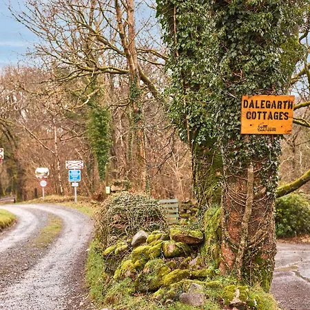Host & - Dalegarth Boot
