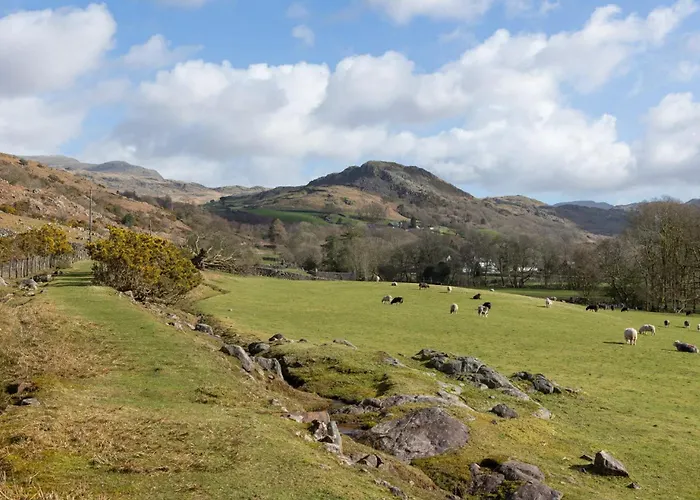 Host & - Dalegarth Apartment Boot