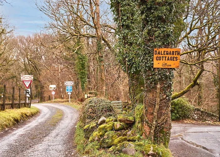 Host & - Dalegarth Boot